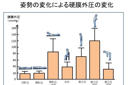 姿勢の変化による硬膜外圧の変化