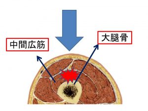ももかん