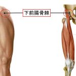 下前腸骨棘の裂離骨折 (1)