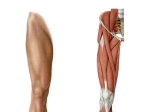 下前腸骨棘の裂離骨折 (2)